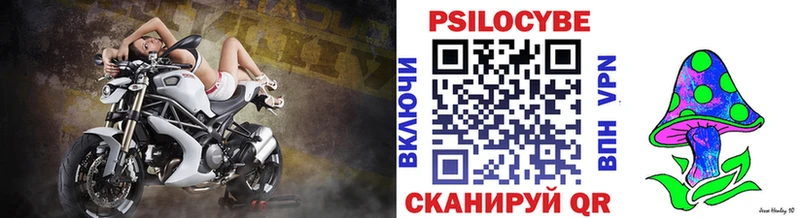 Псилоцибиновые грибы мицелий Струнино