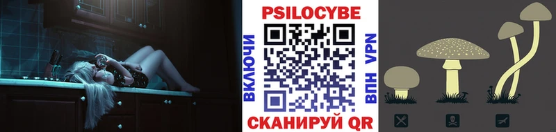 Псилоцибиновые грибы Psilocybine cubensis  мориарти состав  Струнино 