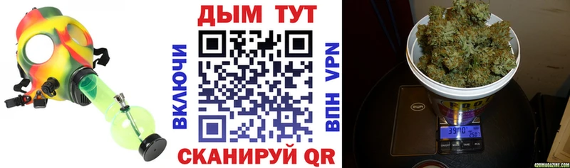 где купить   Струнино  Шишки марихуана индика 